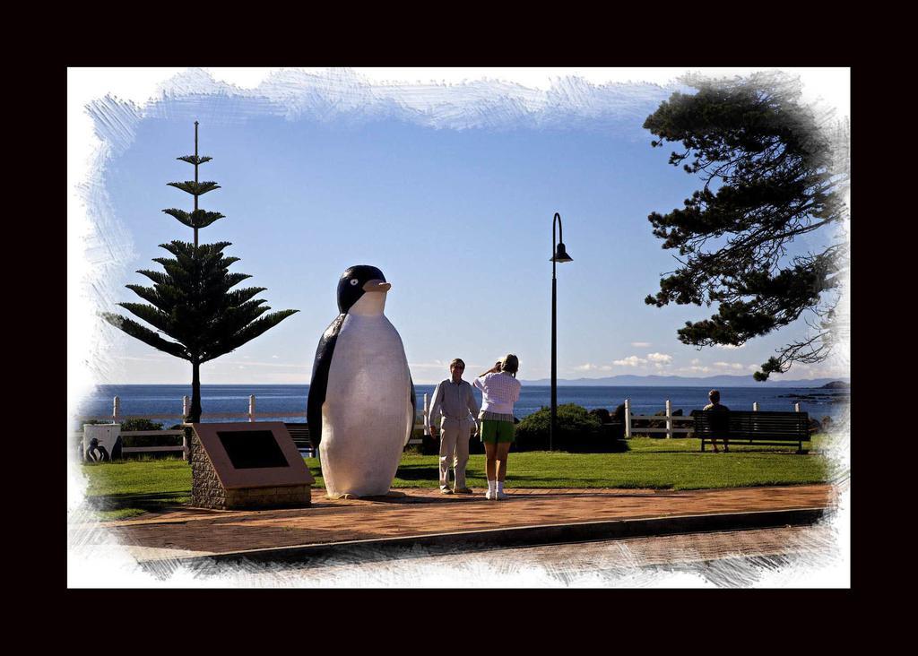 Penguin Beachfront Apartments Luaran gambar