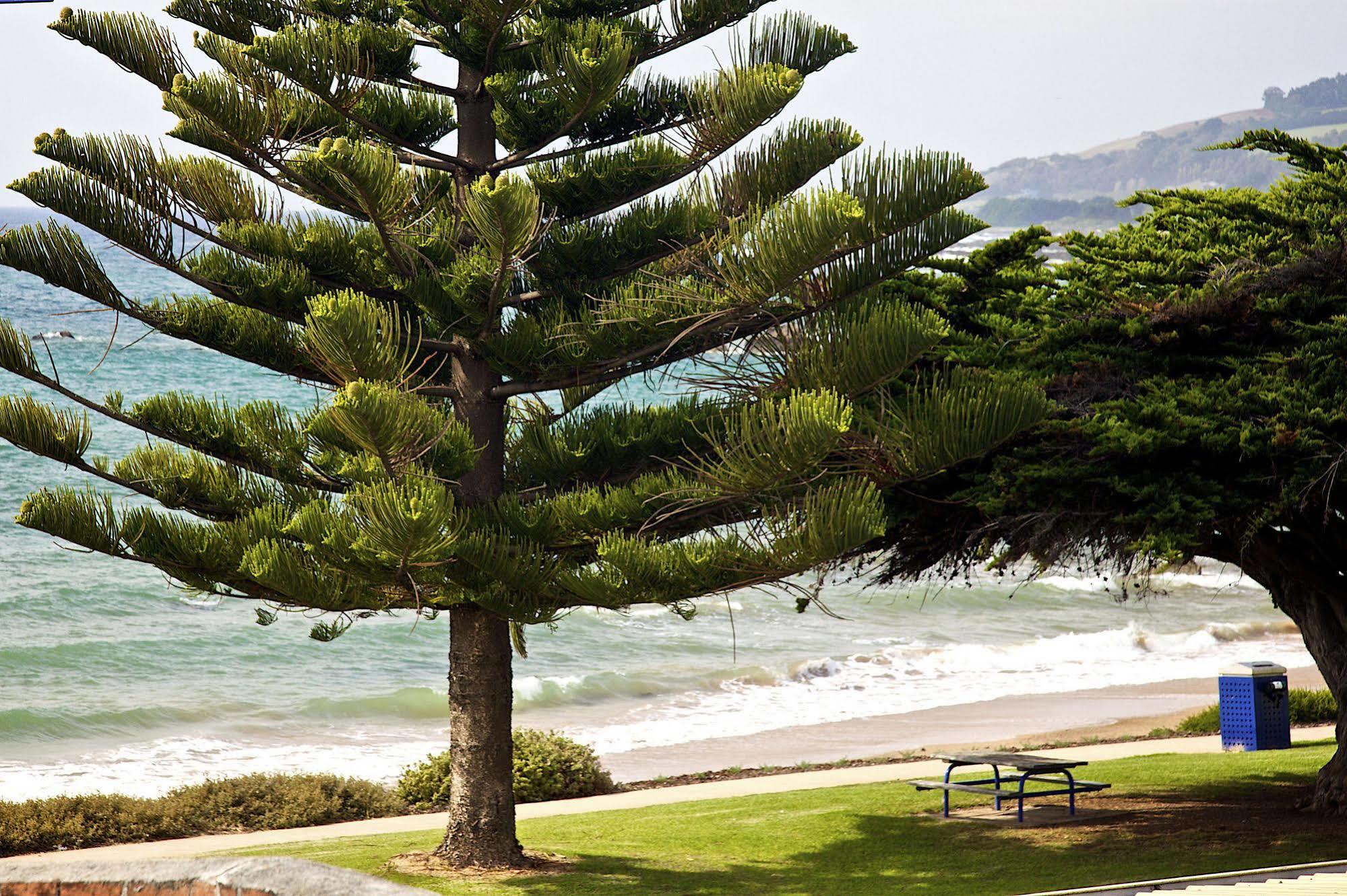 Penguin Beachfront Apartments Luaran gambar